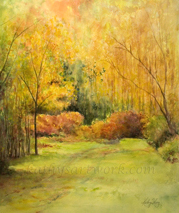 Edge of the Forest