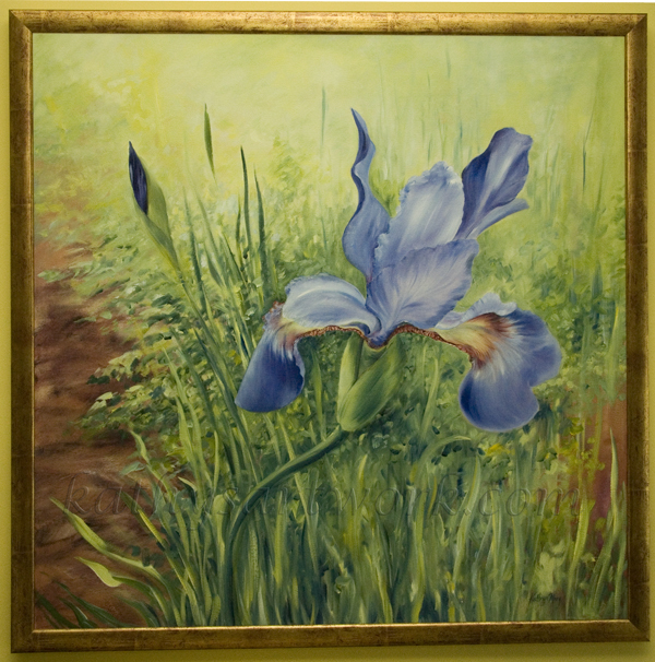 Garden Iris (framed)