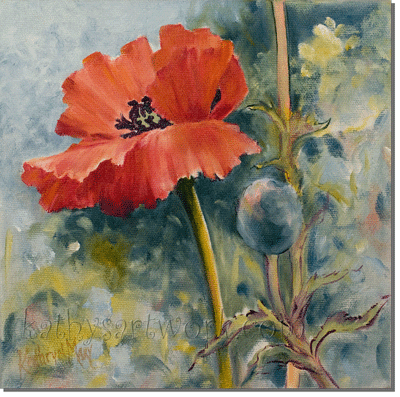 Garden Poppy