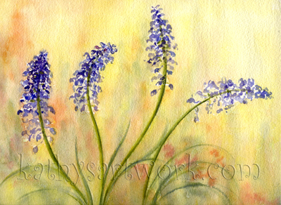 Grape Hyacinth