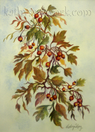 Hawthorne Berries