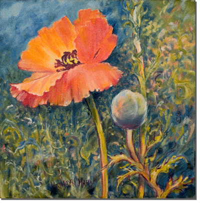 Orange Poppy