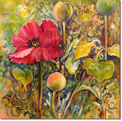 Red Poppy