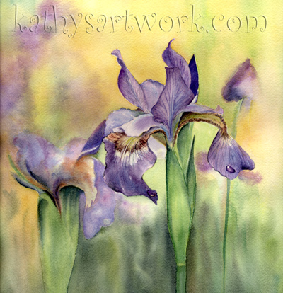 Siberian Iris