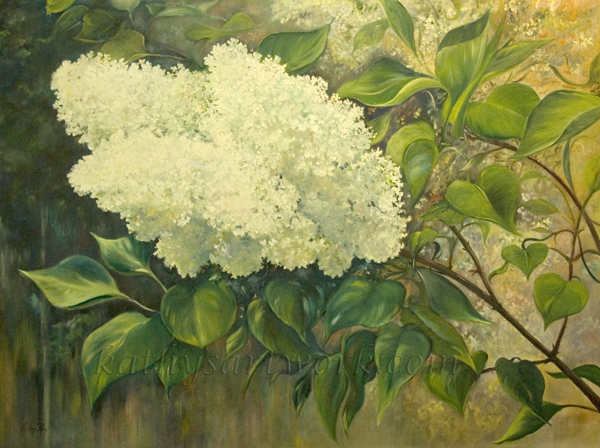 White Lilacs