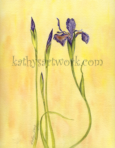 Budding Iris